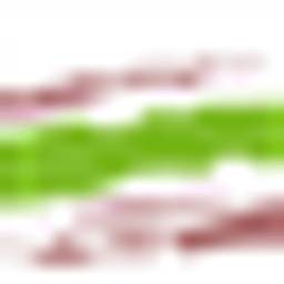 Roser Araez Guarch Maria Logo