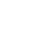 Gekko Automobile Logo