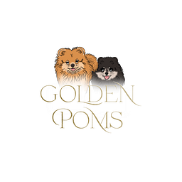 Golden Poms Logo