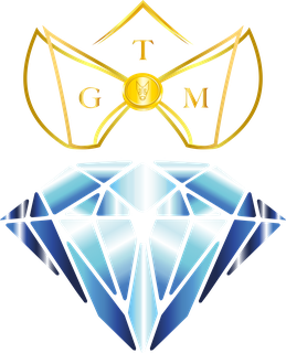 Go To The Millions Logo