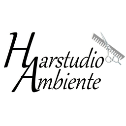 Haarstudio Ambiente Logo