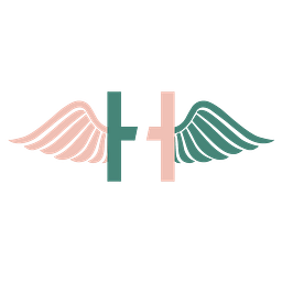 Hahnertwins Coaching Logo