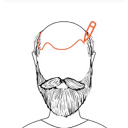 Hairtravel Logo