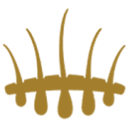 Hasci Italia S.R.L. Logo