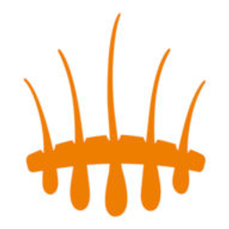 Hasci Swiss Logo