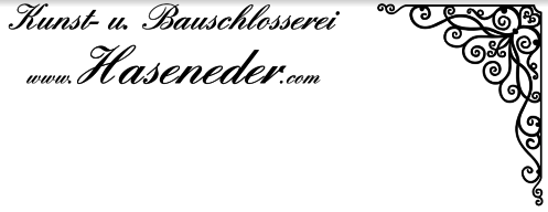 Haseneder Logo