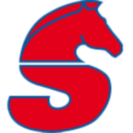 Springer GmbH & Co. KG H. Logo