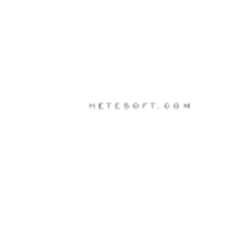 Hetesoft Logo