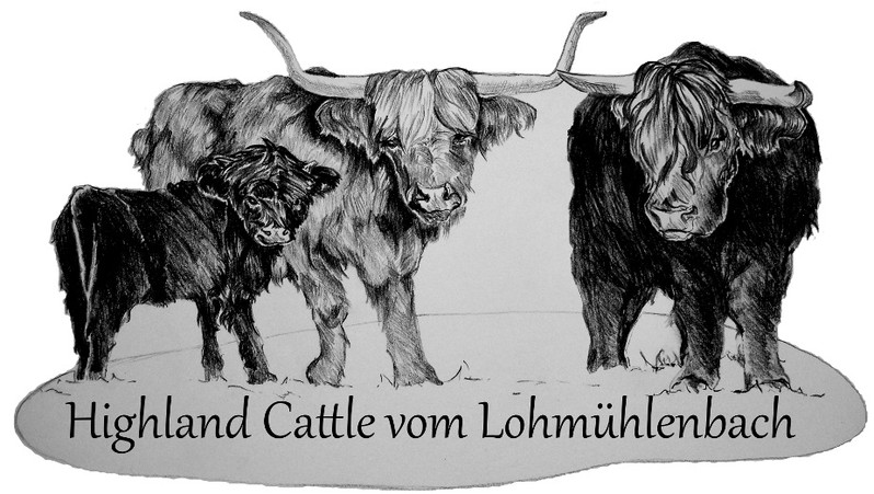 Joachimmeyer Stefan Logo