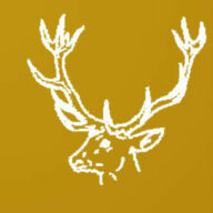Hirsch Logo