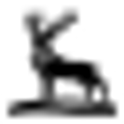 Hirsch Logo