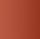 Hirsch Logo