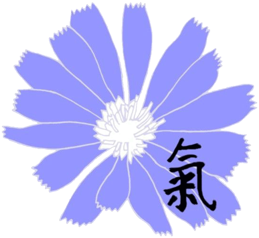 Hoffmann-Vogg Ulrike Naturheilpraxis Logo
