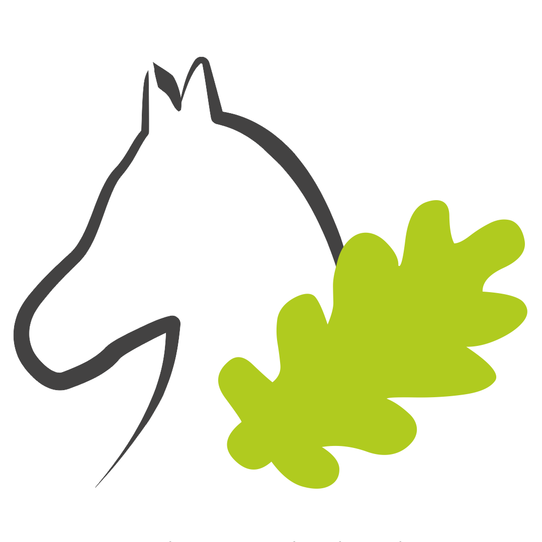Reitsportverein Hofgut-Eich e.V. Reitstall Logo