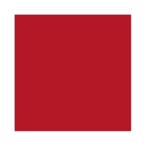 HOLZ BALK GmbH & Co. KG Logo