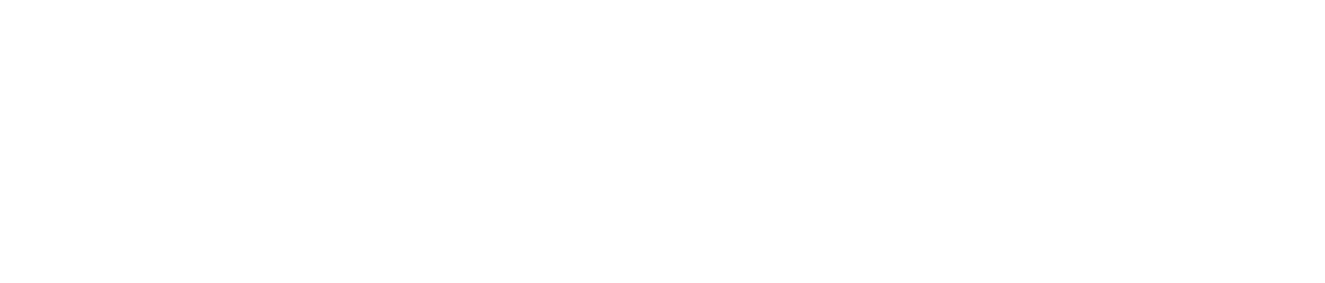 Woisetschläger Frank Schreinerei Logo