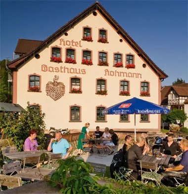 Hohmann Logo