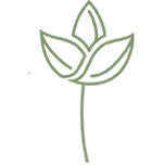 Hotel & Restaurant Wehrmann - Blume e.K. Logo
