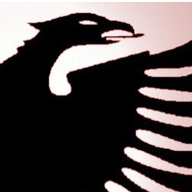 Besim Hoxha Logo