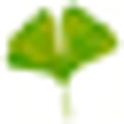 Werthebach Markus Heilpraktiker Logo