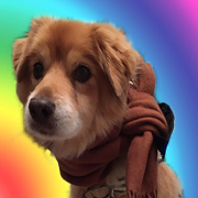Apollo Hunde Friseur Salon Logo