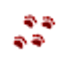 Hundeschule Muchas Patas, C. Barner Logo