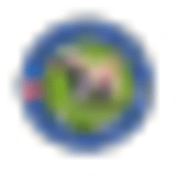 Hundetraining Weinfelden Logo