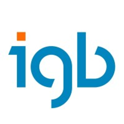 igb Aktiengesellschaft Logo