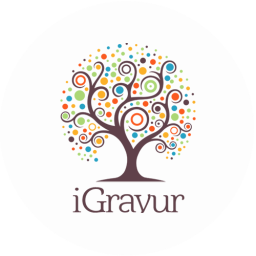Igravur Logo