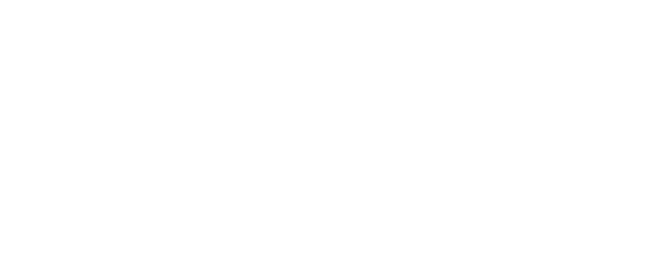 Neufang Inga Logo