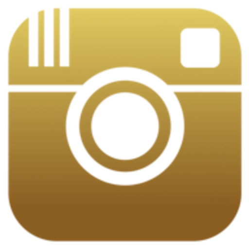 Insta Boss Logo