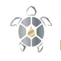 Irritime Logo