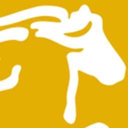 Fasanenhof Islandpferde Logo