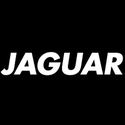 Jaguar Solingen Logo