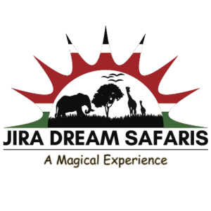 Jira Dream Safaris Logo