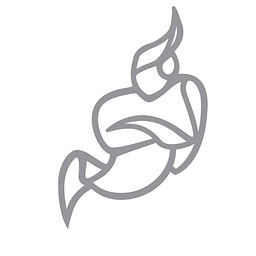 Jitsi Logo