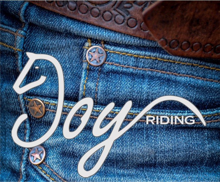 Joy Riding Logo
