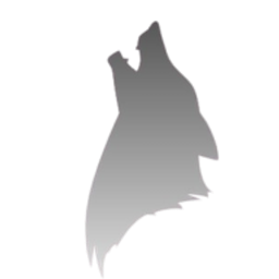 Junge Dailyshop Logo