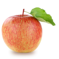 Junginger Fruchtsäfte Getränkemarkt Logo