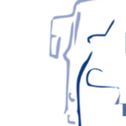 Rüdiger Dahl GmbH & Co. KG Karosserie- & Fahrzeugservice Logo