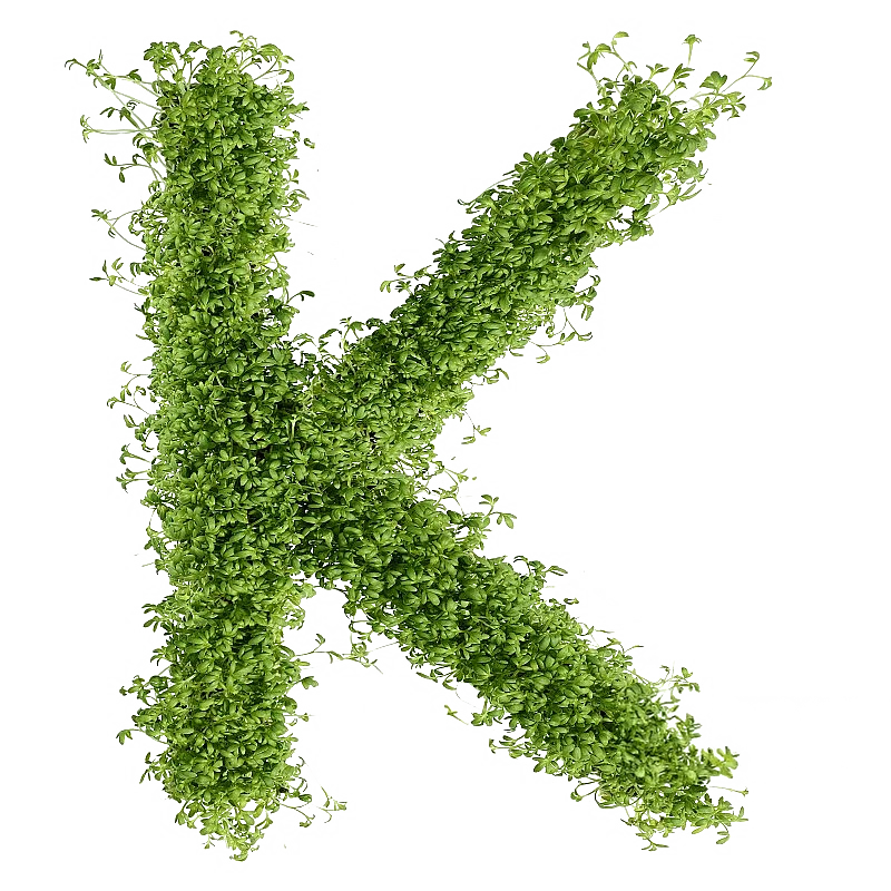 Kbzstore Logo