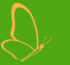 Bauer Silvia Praxis für Hypnosetherapie und Hypnosecoaching Logo