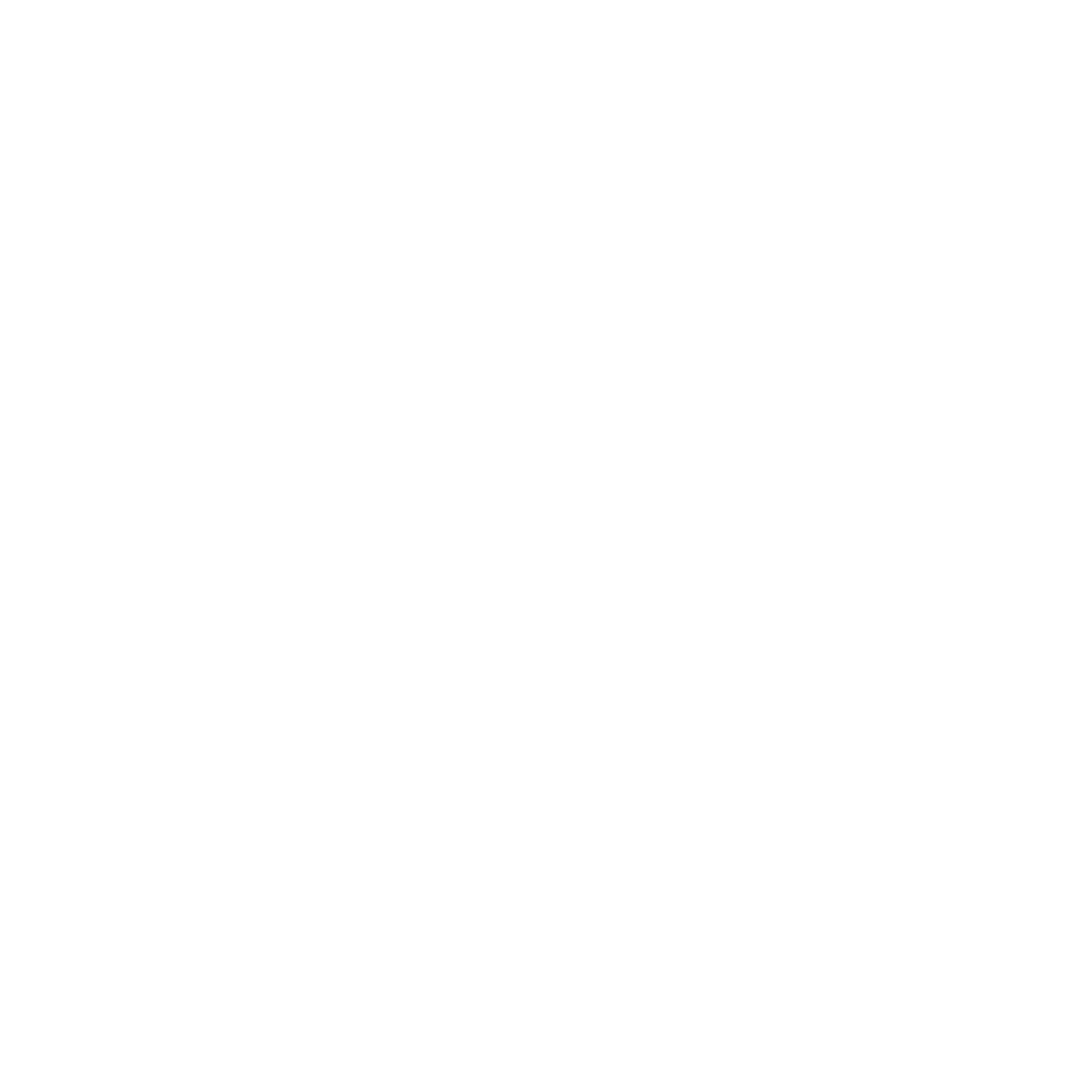 Kleymann Consulting V. Kleymann Logo