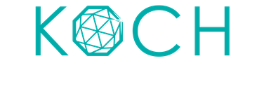 KOCH green & clean Logo