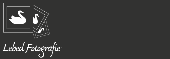 Lebed Michael Logo