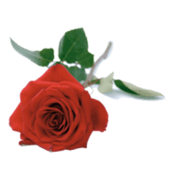 Lehmann Kerstin Naturkosmetikerin Logo