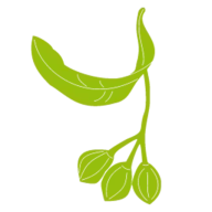 Linden-Apotheke Apotheken Logo