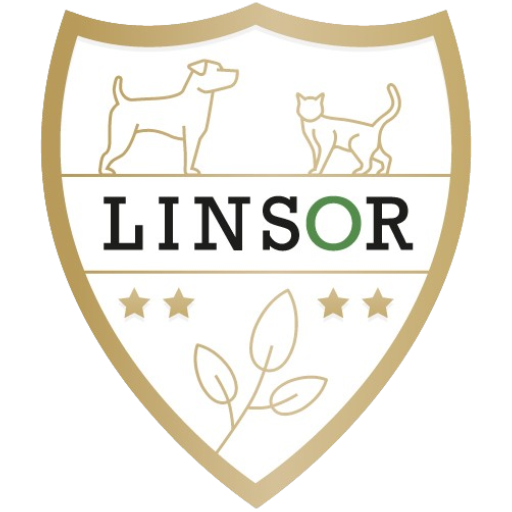 Linsor GmbH Logo