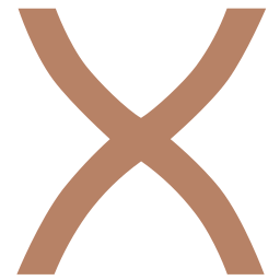 LOOkX Logo