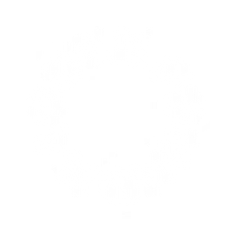LOSTXFOUND® Clothing Logo